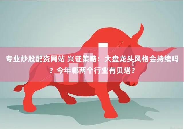 专业炒股配资网站 兴证策略：大盘龙头风格会持续吗？今年哪两个行业有贝塔？