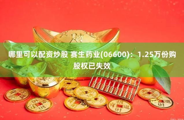 哪里可以配资炒股 赛生药业(06600)：1.25万份购股权已失效